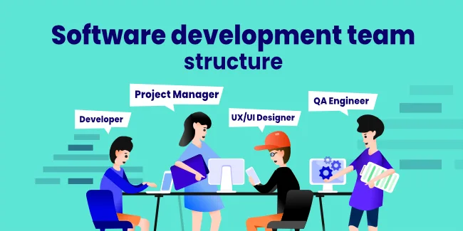 Software development team structure