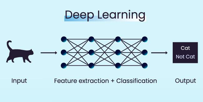 Infographic showing how does deep learning model works